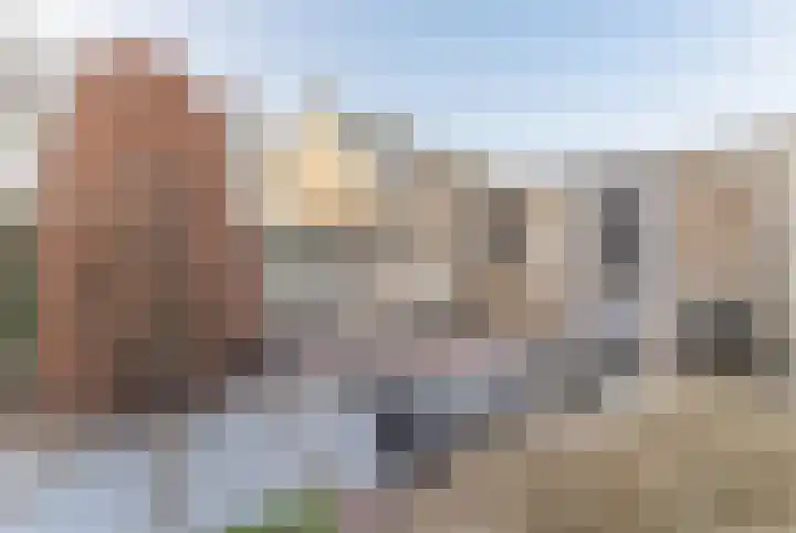 La Reinestraat 14 Andijk thumbnail 50
