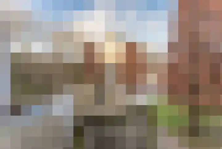 La Reinestraat 14 Andijk thumbnail 52