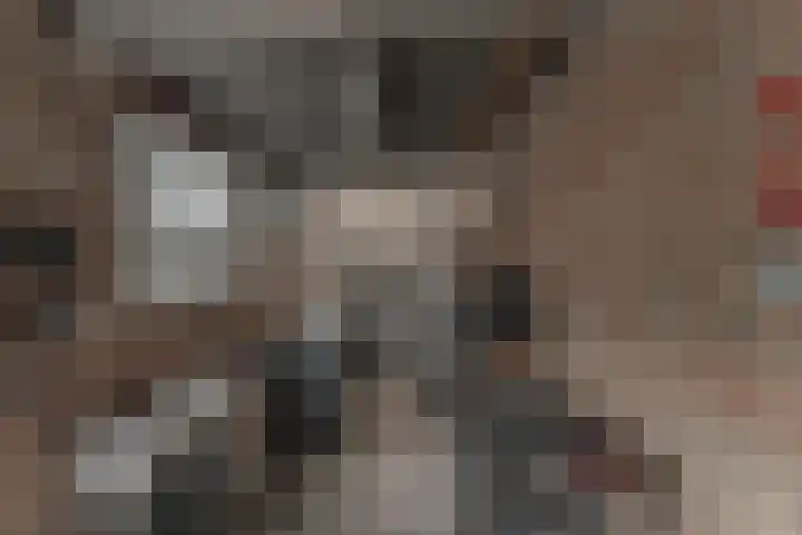 La Reinestraat 14 Andijk thumbnail 54