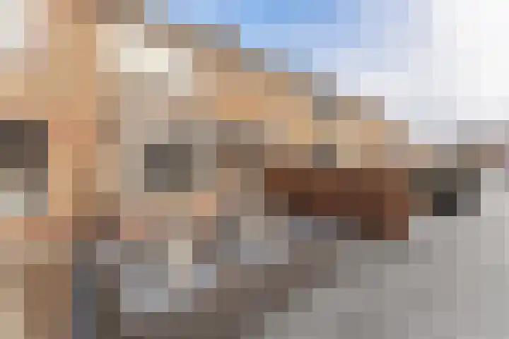 La Reinestraat 14 Andijk thumbnail 57