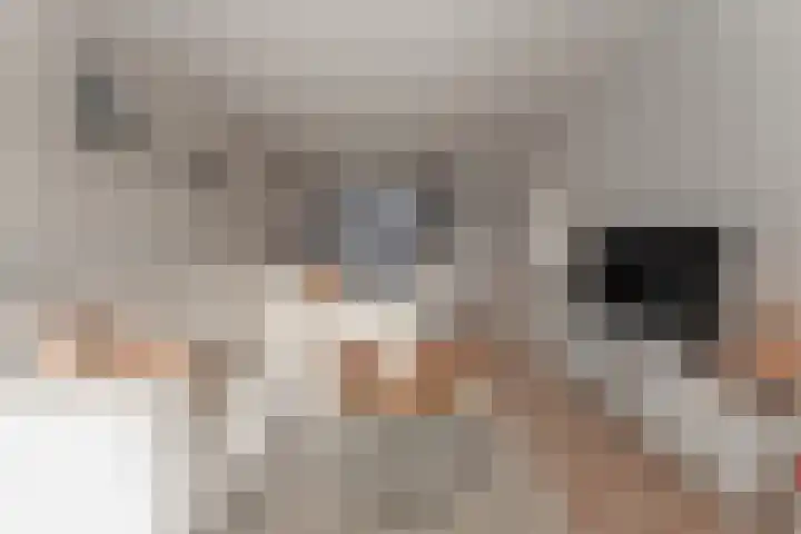 La Reinestraat 14 Andijk thumbnail 7