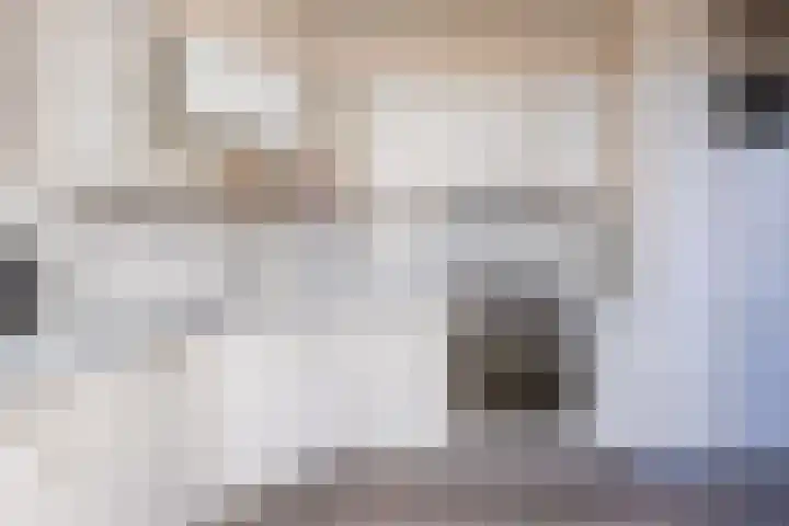 La Reinestraat 4 Andijk thumbnail 17