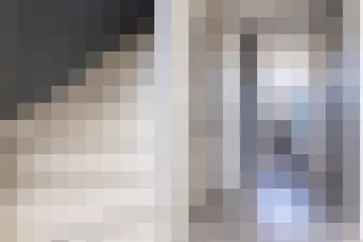 La Reinestraat 4 Andijk thumbnail 25