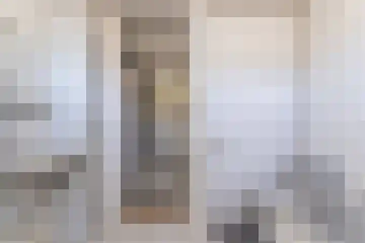 La Reinestraat 4 Andijk thumbnail 27