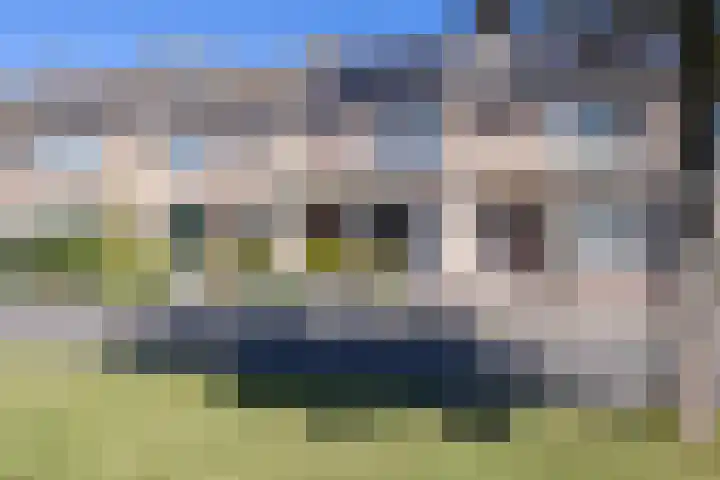 La Reinestraat 4 Andijk thumbnail 5