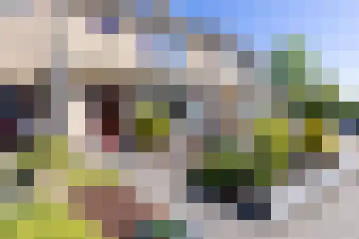 La Reinestraat 4 Andijk thumbnail 7