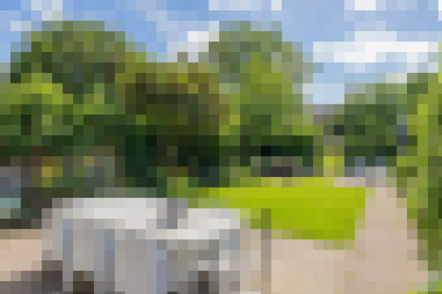 La Travee 9 Heemstede thumbnail 19