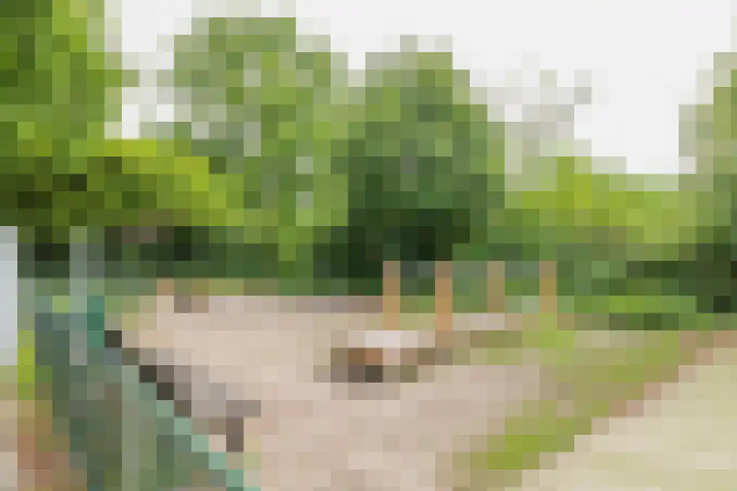 La Travee 9 Heemstede thumbnail 62