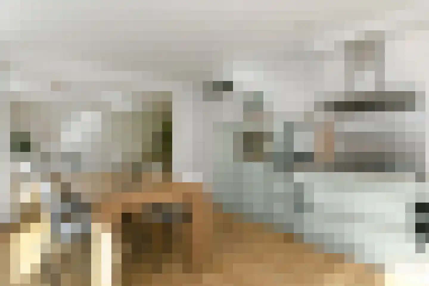 La Traviata 1 Eindhoven thumbnail 14