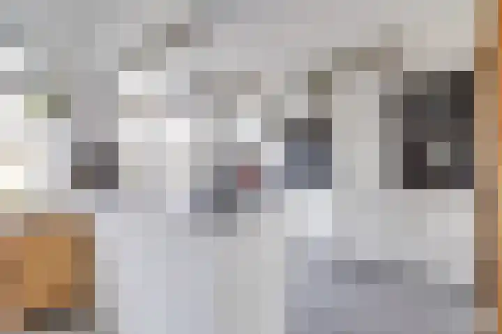 La Traviatadreef 10 Utrecht thumbnail 13