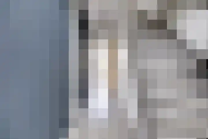 La Traviatadreef 10 Utrecht thumbnail 19
