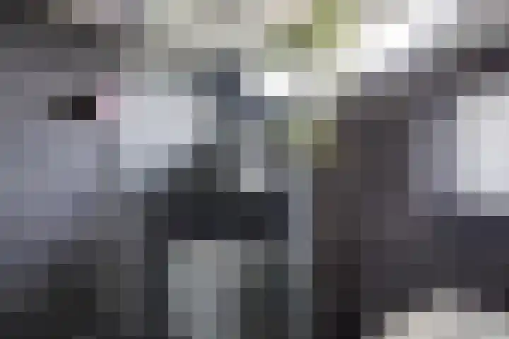 La Traviatadreef 10 Utrecht thumbnail 30
