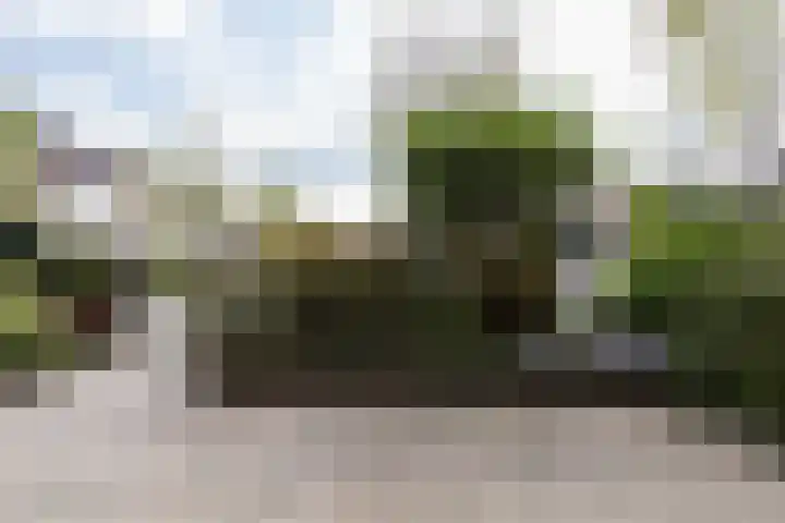 La Traviatadreef 10 Utrecht thumbnail 45
