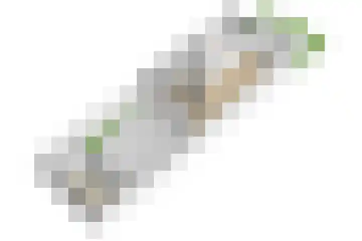 La Traviatadreef 10 Utrecht thumbnail 48