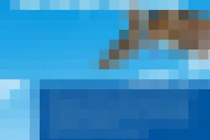 La Traviatadreef 10 Utrecht thumbnail 60