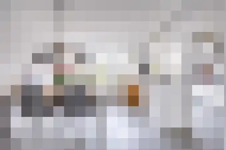 La Traviatadreef 10 Utrecht thumbnail 9