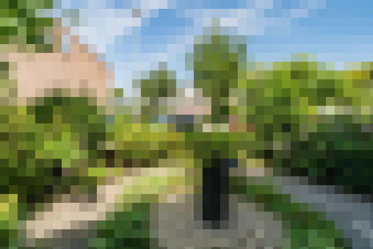 La Traviatadreef 7 Utrecht thumbnail 11