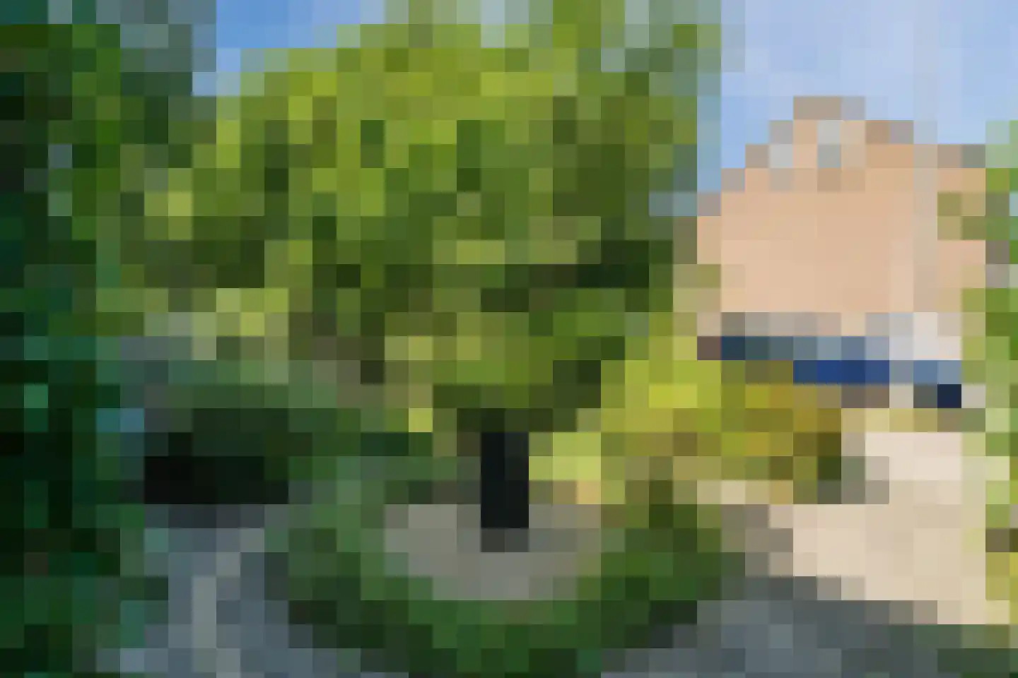 La Traviatadreef 7 Utrecht thumbnail 51