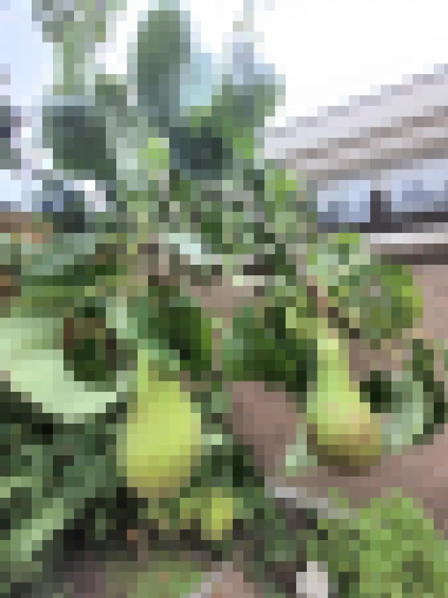 La Traviatadreef 7 Utrecht thumbnail 58