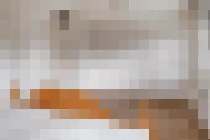 La Traviataplantsoen 13 Nieuw-Vennep thumbnail 29