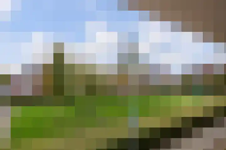 La Traviataplantsoen 13 Nieuw-Vennep thumbnail 35