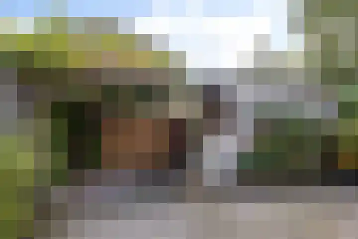 La Traviataplantsoen 13 Nieuw-Vennep thumbnail 37