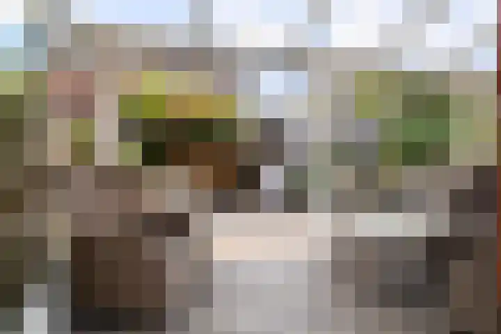 La Traviataplantsoen 13 Nieuw-Vennep thumbnail 4