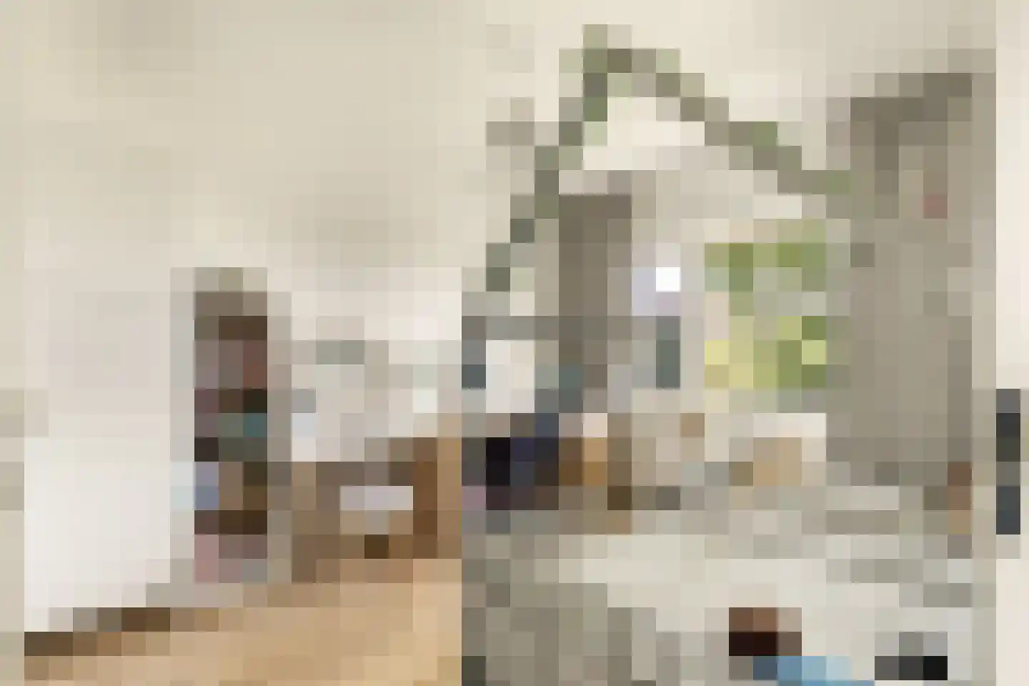 La Traviataplantsoen 7 Nieuw-Vennep thumbnail 23