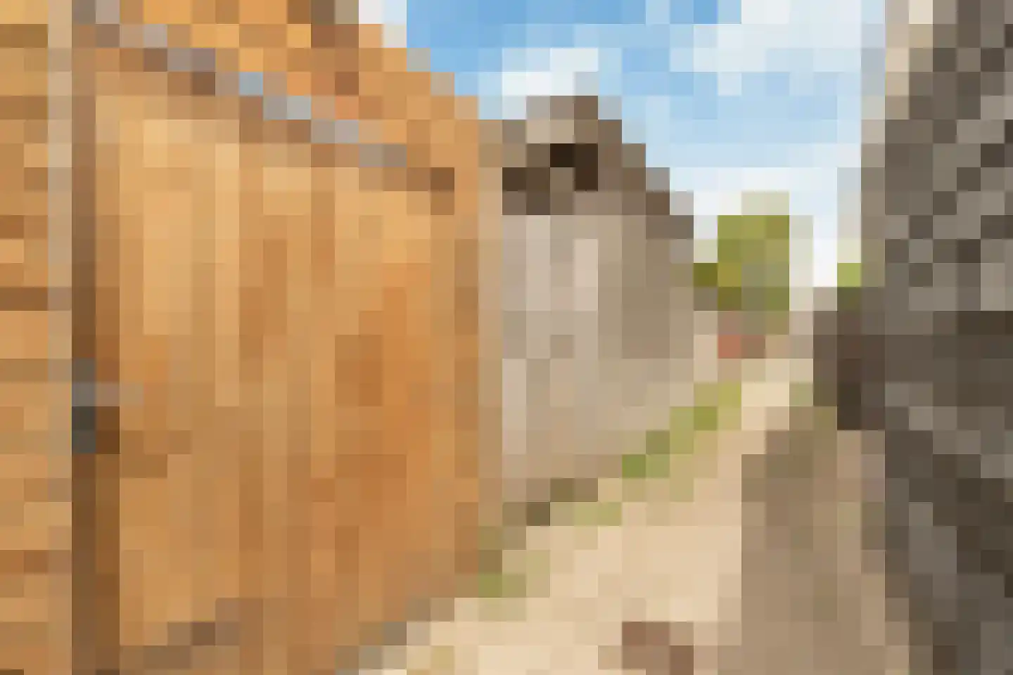 La Traviataplantsoen 7 Nieuw-Vennep thumbnail 36