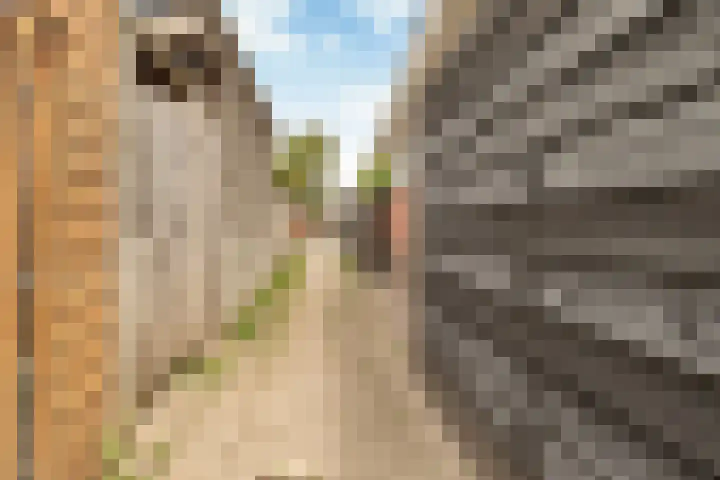 La Traviataplantsoen 7 Nieuw-Vennep thumbnail 37