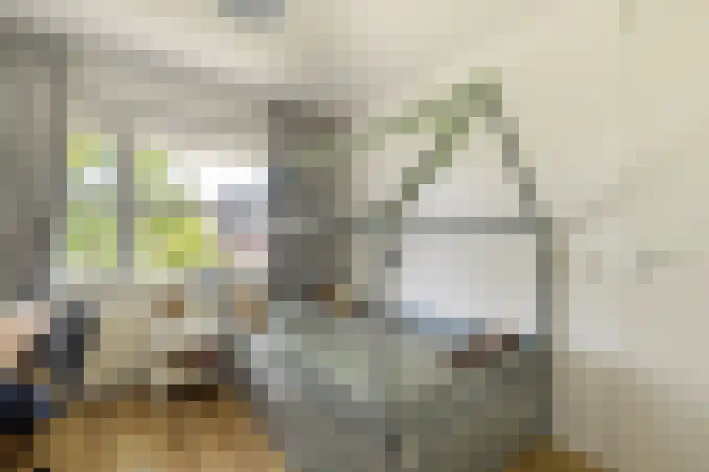 La Traviataplantsoen 7 Nieuw-Vennep thumbnail 4