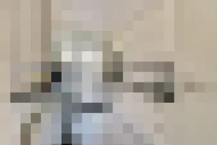 Laafnet 1 Hoogvliet Rotterdam thumbnail 10