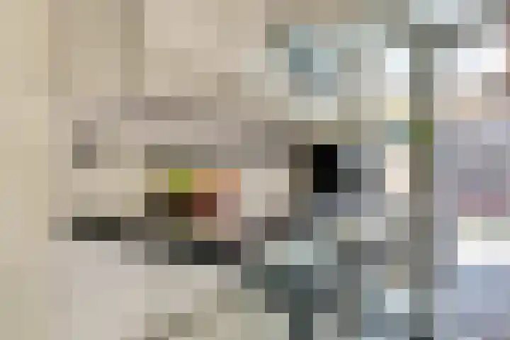 Laafnet 1 Hoogvliet Rotterdam thumbnail 11