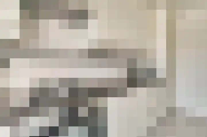 Laafnet 1 Hoogvliet Rotterdam thumbnail 12