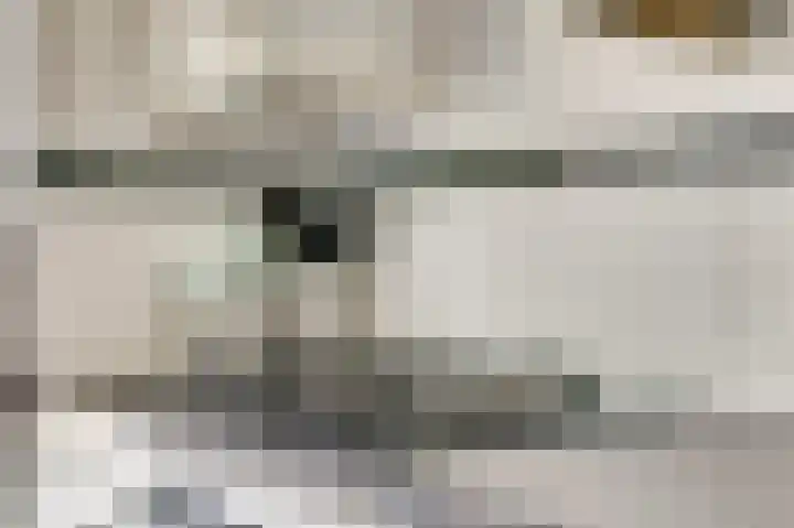 Laafnet 1 Hoogvliet Rotterdam thumbnail 13