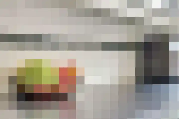 Laafnet 1 Hoogvliet Rotterdam thumbnail 14