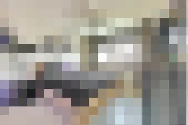 Laafnet 1 Hoogvliet Rotterdam thumbnail 18
