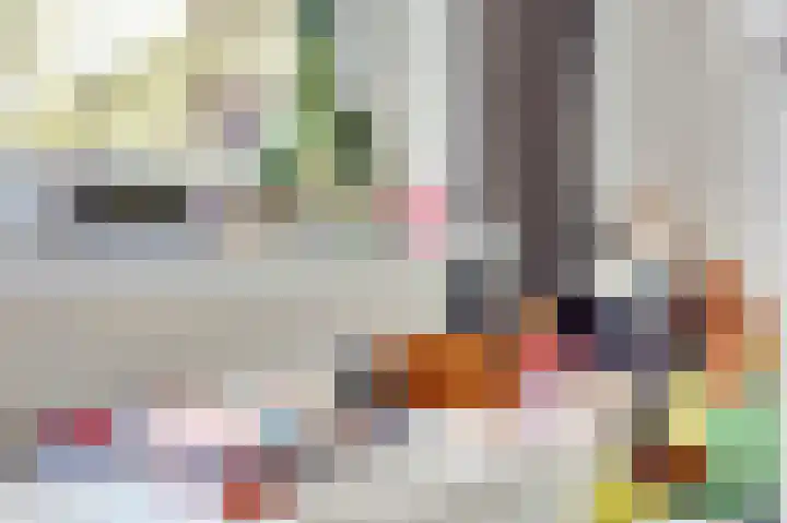 Laafnet 1 Hoogvliet Rotterdam thumbnail 22