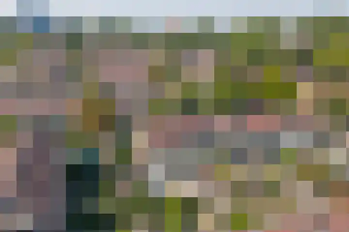 Laafnet 1 Hoogvliet Rotterdam thumbnail 39
