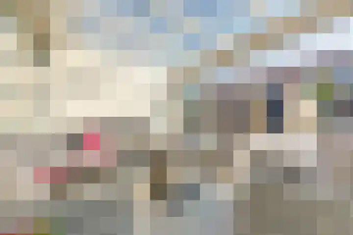 Laafnet 1 Hoogvliet Rotterdam thumbnail 4