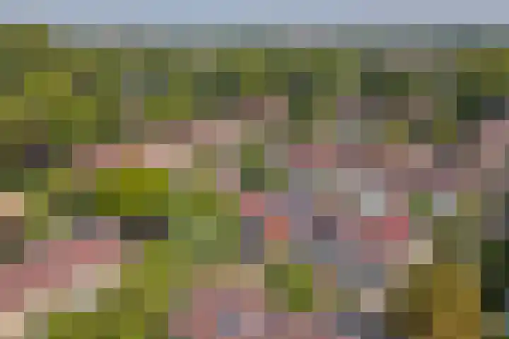 Laafnet 1 Hoogvliet Rotterdam thumbnail 40