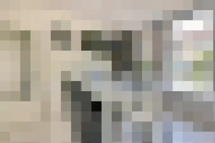 Laafnet 1 Hoogvliet Rotterdam thumbnail 9