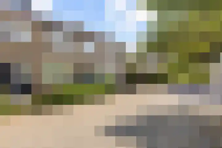 Laafnet 3 Hoogvliet Rotterdam thumbnail 10