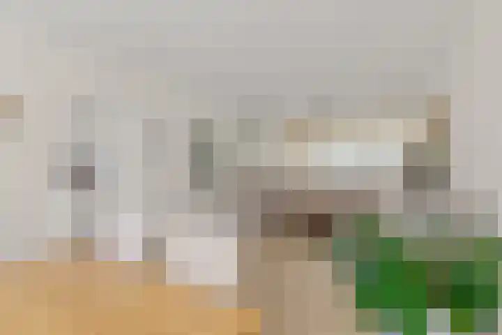 Laafnet 3 Hoogvliet Rotterdam thumbnail 18