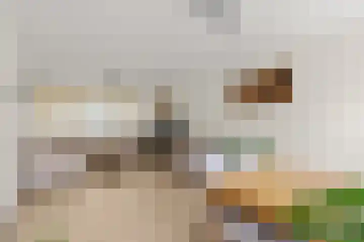 Laafnet 3 Hoogvliet Rotterdam thumbnail 19