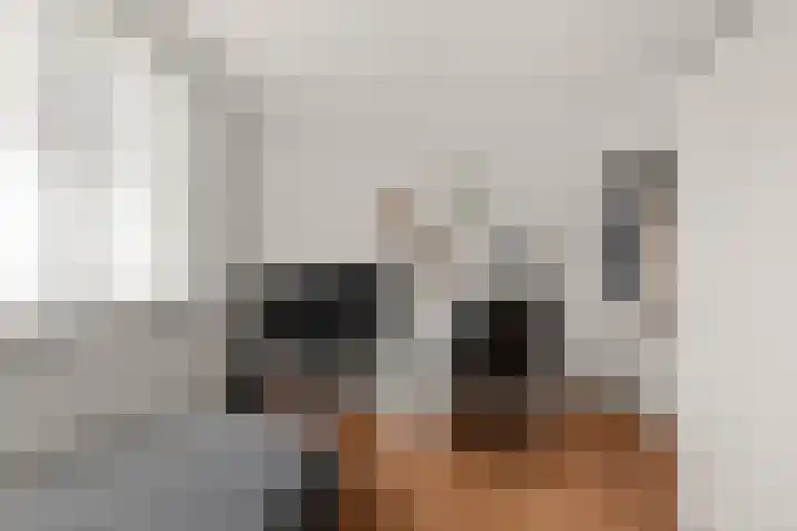 Laafnet 3 Hoogvliet Rotterdam thumbnail 27