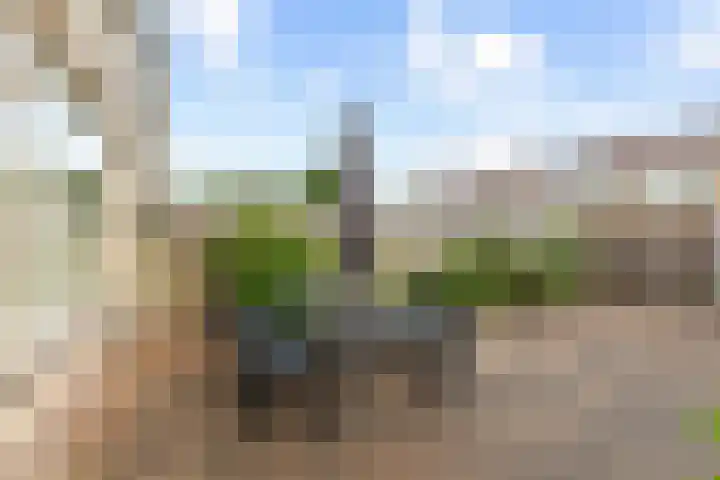 Laafnet 3 Hoogvliet Rotterdam thumbnail 40