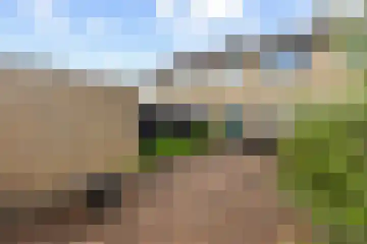 Laafnet 3 Hoogvliet Rotterdam thumbnail 42