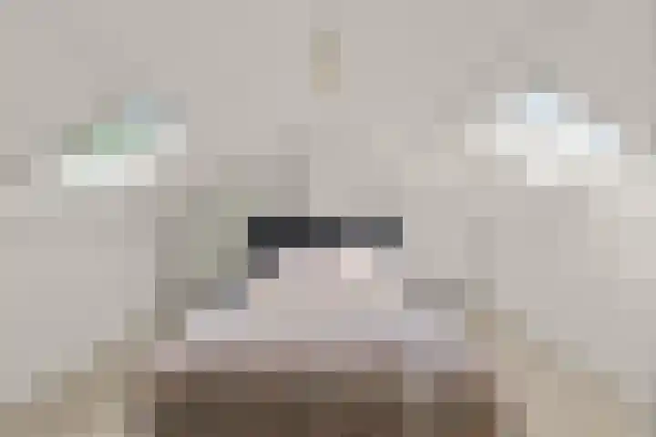 Laafnet 3 Hoogvliet Rotterdam thumbnail 6