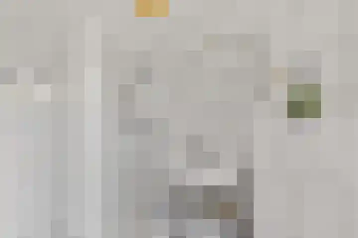 Laafnet 3 Hoogvliet Rotterdam thumbnail 8
